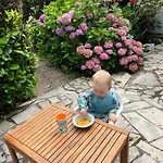 I Zwischen Bordeaux Und Atlantik Mirabelle *