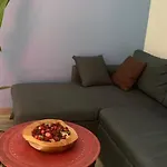 I Zwischen Bordeaux Und Atlantik Mirabelle Brach