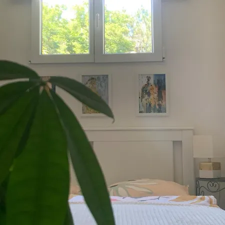Vakantiehuis I Zwischen Bordeaux Und Atlantik Mirabelle Brach